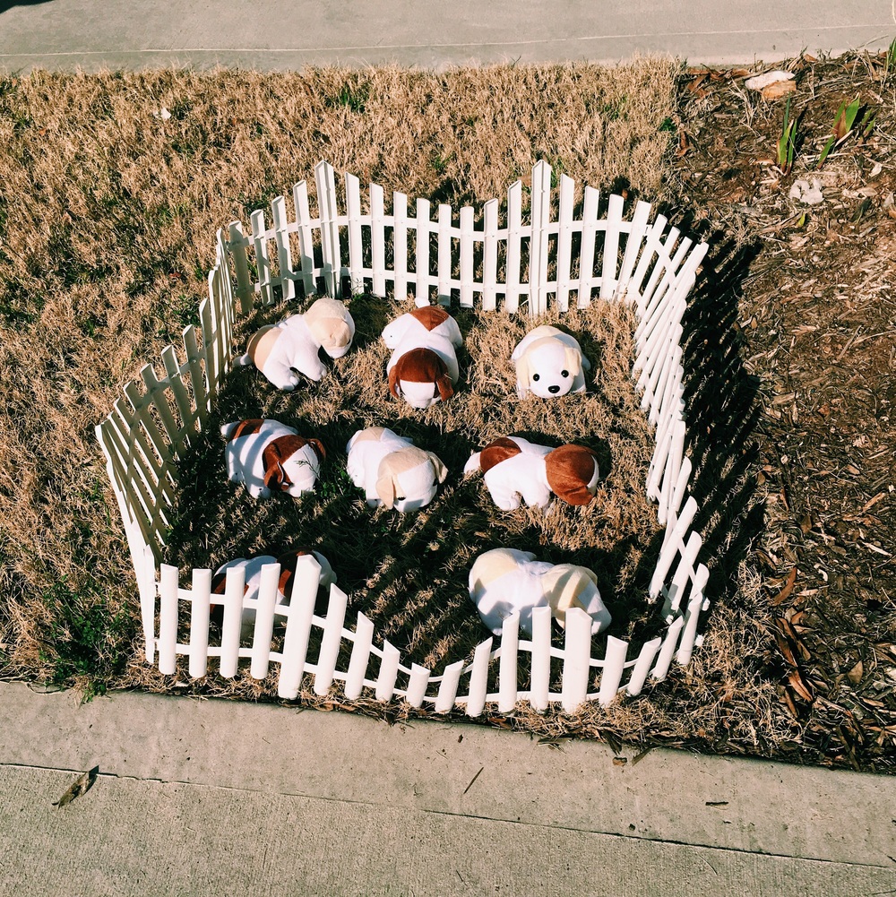 I found this adorable idea from Pinterest of course.  A puppy adoption center!  This was possibly one of my favorite decorations and activities at the party.  Fence pieces were only $1 each (I got about four of them) and a wholesale pack of twelve plush puppies from Amazon for about $12.