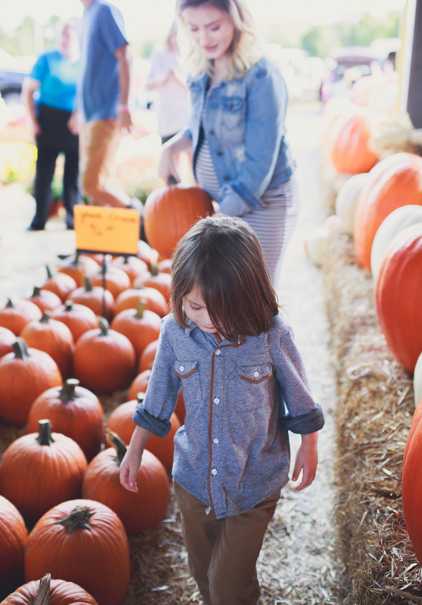 Lifestyle and fashion blogger Jessica Linn from Linn Style wearing a navy blue and white horizontal striped maternity dress from Target and a denim jacket. Shopping for pumpkins at the NC State Farmers Market for fall. October