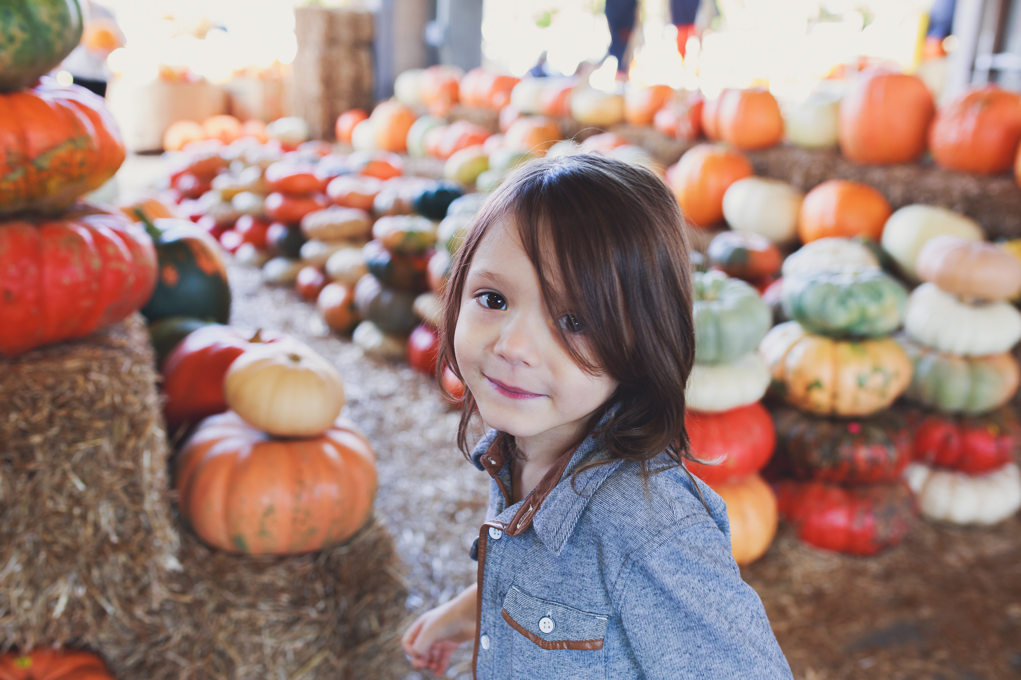 Lifestyle and fashion blogger Jessica Linn from Linn Style wearing a navy blue and white horizontal striped maternity dress from Target and a denim jacket. Shopping for pumpkins at the NC State Farmers Market for fall. October