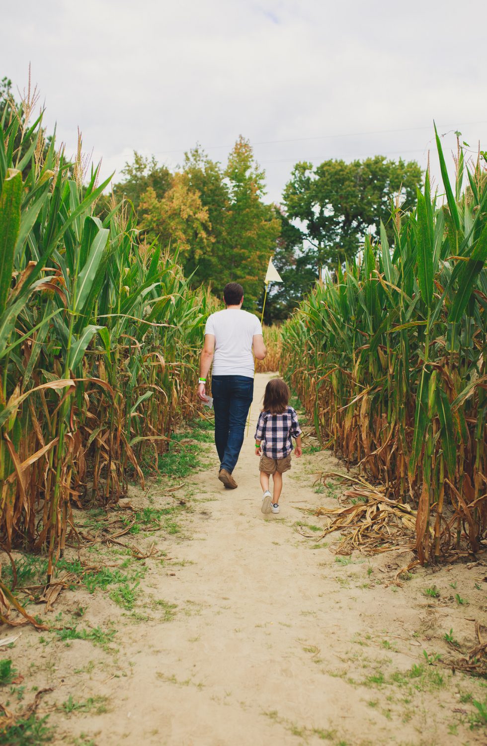 Fall Fun at Phillips Farm | Weekend Family Adventures in Cary NC